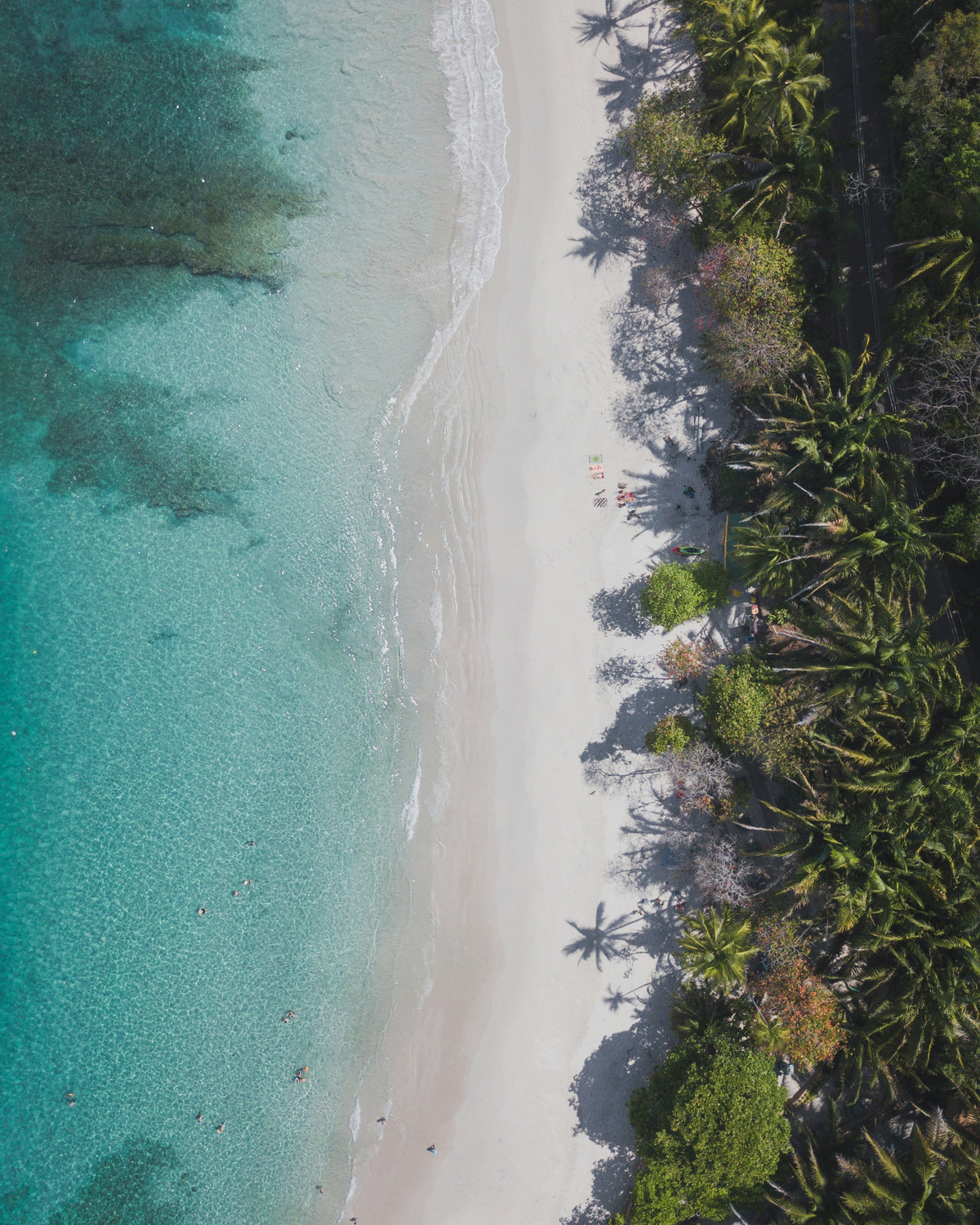 White sand, palm trees and clear turquoise water at Punta Leona, Costa Rica.